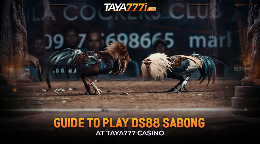 Guide to Play DS88 Sabong at Taya777 Casino