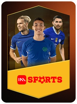 INN sports poster