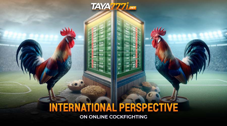 International Perspective on Online Cockfighting