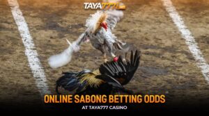 Online Sabong Betting Odds at Taya777 Casino