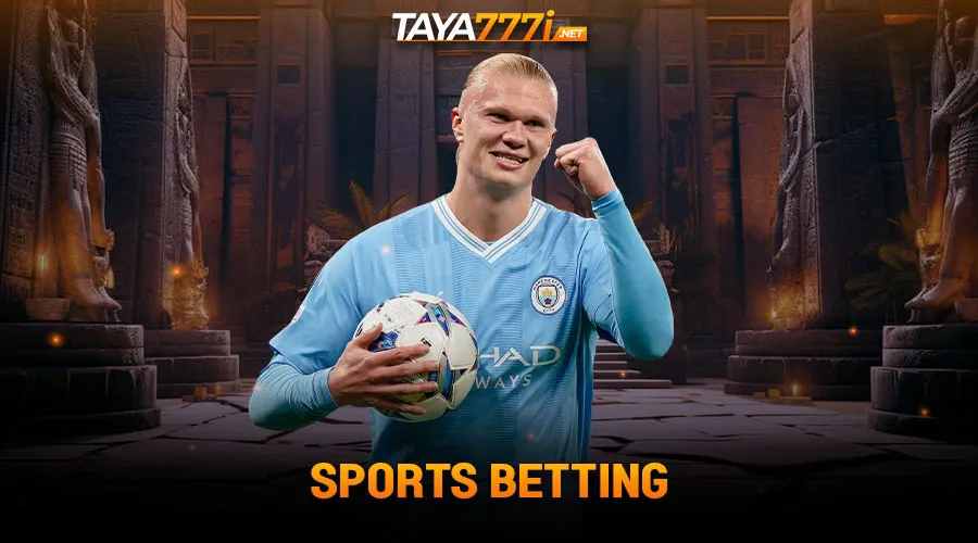 Taya777 offers popular sports betting category in the world