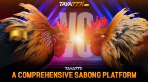 Live Sabong vs Virtual Sabong: A Comprehensive Analysis