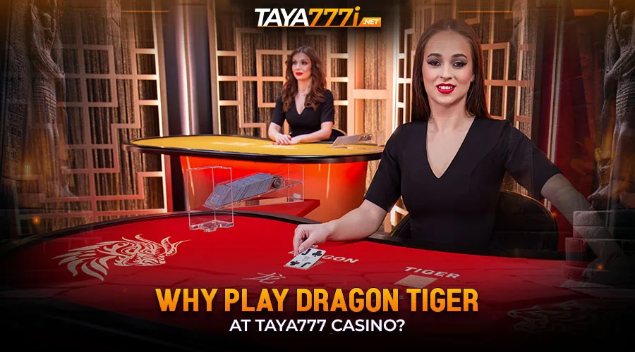 Why Play Dragon Tiger at Taya777 Casino?