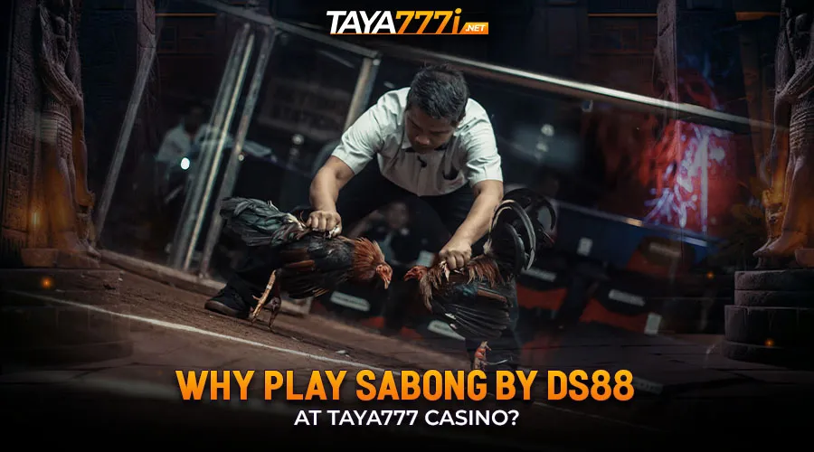 Why Play Sabong by DS88 at Taya777 Casino?